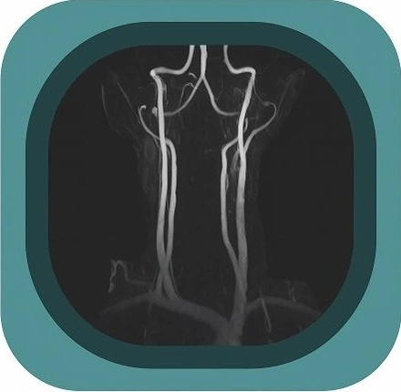 MRA neck anatomy icon